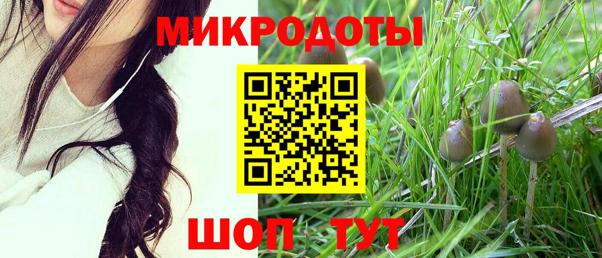 Псилоцибиновые грибы Psilocybine cubensis  Вход с VPN  Елизово  Псилоцибиновые грибы Psilocybe 