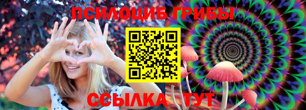 Галлюциногенные грибы Cubensis Елизово